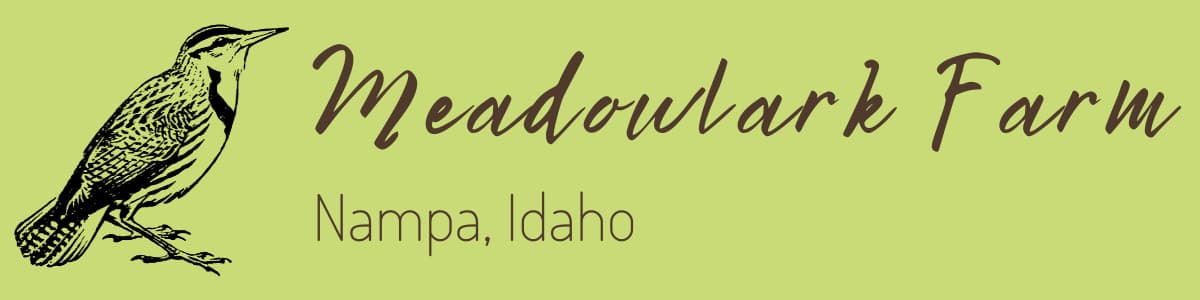 Meadowlark Farm Idaho logo