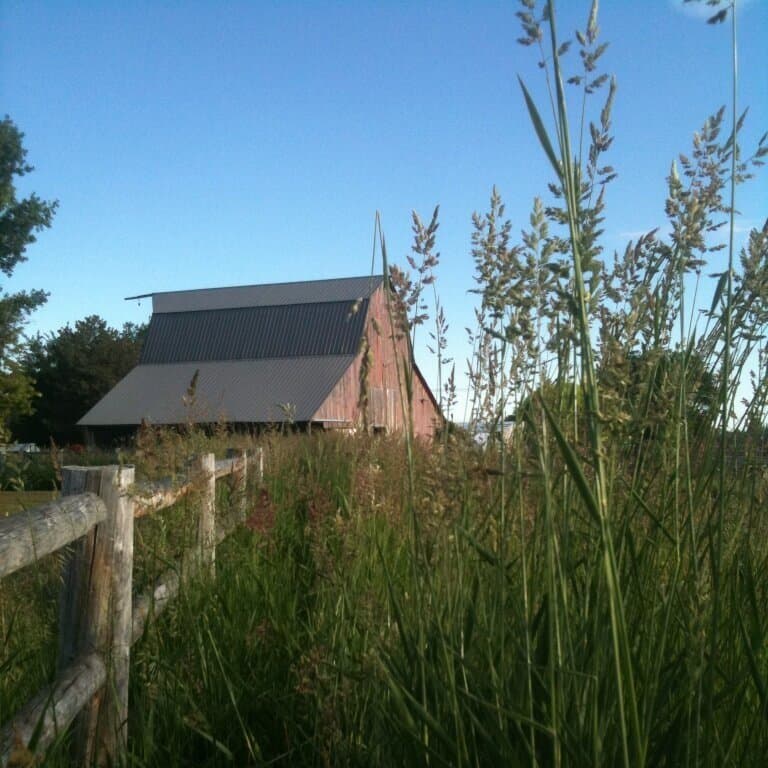 Picture of a farm house
